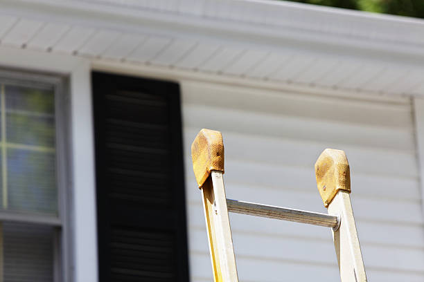 Best Steel Siding Installation  in Lexington, KY